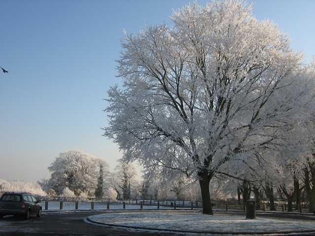 Snow Dec 2010 008